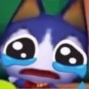 rover_cry rover_cry