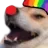 clowndog clowndog