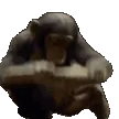 monke