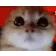 RAGEY