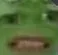 CringeZoom