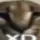floppaxd floppaxd