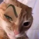 catbrow