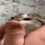 inspection inspection