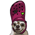 Croc_Dog_L Discord emoji