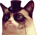 2524grumpycattophat