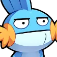 mudkipstare
