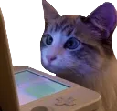 WatchingStream
