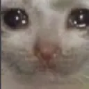 emoji_2 emoji_2