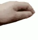 belai