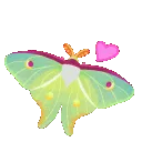 lunamothlove