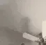catPunch