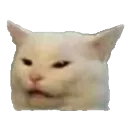 cat_smudge