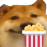 DogePopcorn