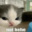 nothehe