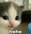 hehenothehe