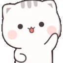 kittywave1