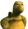 HUHstare