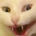 maniac