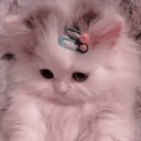 shyzb Discord emoji