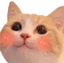 happycat