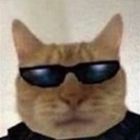 catcoolguy Discord emoji