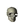 SkullSpin
