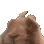 bunnywave