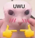 uwu