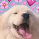 happypup