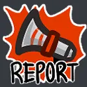 REPORT