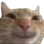 aaat