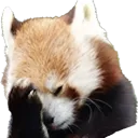 emoji_245