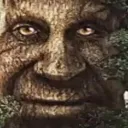 tree tree