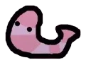 shrimp