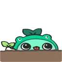 mokolurk