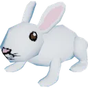 Item6_bnuuy