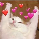 Kittyhearts Kittyhearts