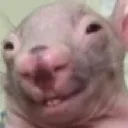 heythere
