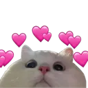 cathearts