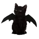 Batcat batcat Discord Emoji