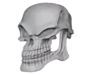 TrollSkeleton TrollSkeleton