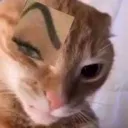 sus