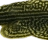 Hillstream2