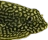 Hillstream3