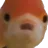GoldfishScared