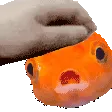 GoldfishPetPet