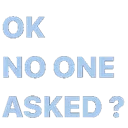 b_NoOneAsked