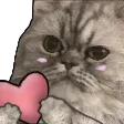 lub