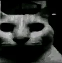 dark